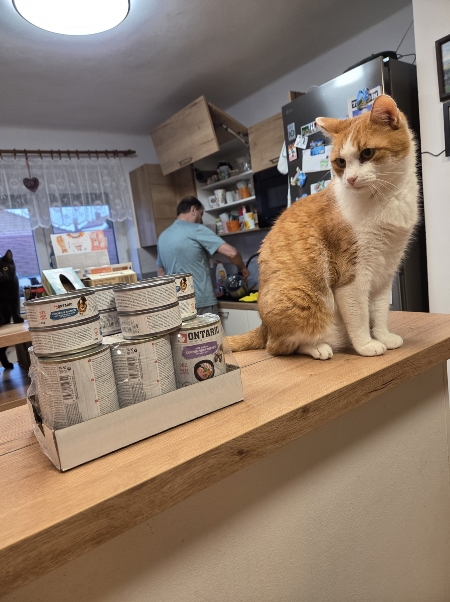 Kočičí domov Sluníčko, z.s.